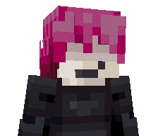 wisexgod's skin