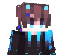 P4rad4m1ty's skin