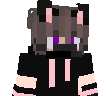 RapidNinja2's skin