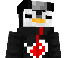 Besnikk's skin
