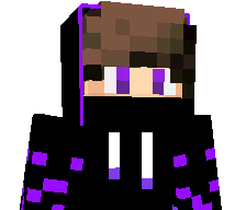 NikoTG's skin