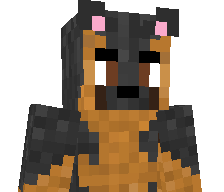 N4x3's skin