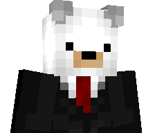 BattleBearXD's skin