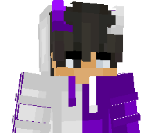 F3D3_MC's skin