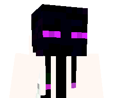 Void_LP's skin