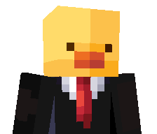 FakeDuck2's skin