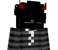 SECCI13333's skin