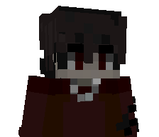 SecT0R312's skin