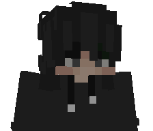 Panda5020's skin