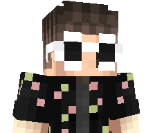 metoksilordiet_'s skin