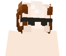 SirLoww's skin