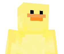 StupidDucky's skin