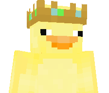 Th3RandomDuck's skin