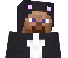 trainpuissant423's skin