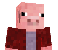 ErmoksPlayer's skin