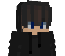 RedFoxPL9017's skin