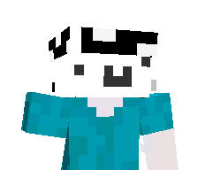 ibraaaah's skin