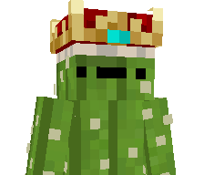 MrCactus1234's skin