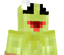 Cost1nn's skin