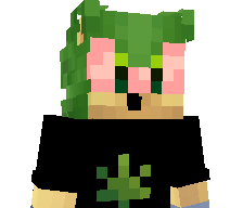 rZaynox's skin
