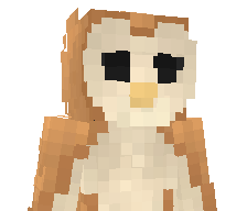 Barnyy_Owly's skin
