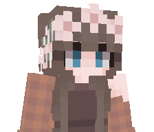 Vlz_'s skin