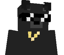 _ZxyR's skin