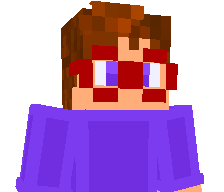FunctionPlaysMC's skin