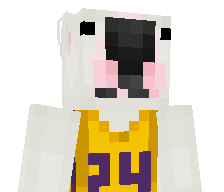 NWP_Mini's skin
