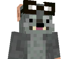 Ryszord_'s skin