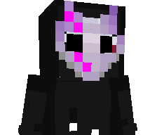 NINJA_REN's skin