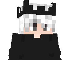1Experte's skin