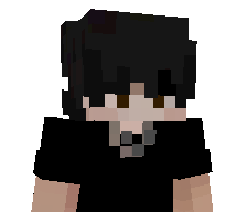 MAJKNIX_'s skin