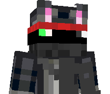 Djcatgjii's skin