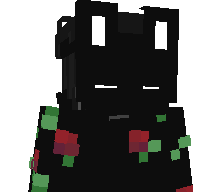 kvank0's skin
