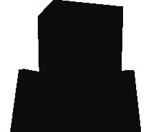 Salp_minor's skin