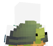 b4stion_'s skin