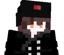 VienParLa's skin