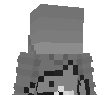 Toppiic's skin