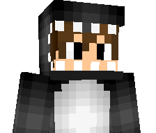 NotRaydenI's skin