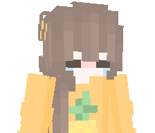 Pokemetch's skin