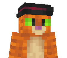 stepagregy1's skin