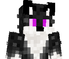kamilke22's skin