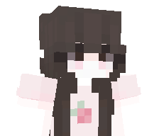 enzxh's skin