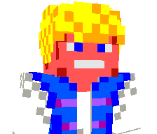 BedWarsDude's skin