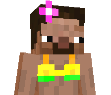 N0ximus_'s skin