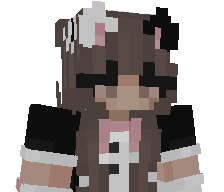 Icey2IceyFr's skin