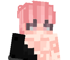 Slayxer's skin