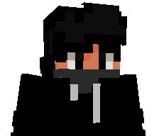 Mainesp's skin