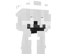 B2dMind's skin
